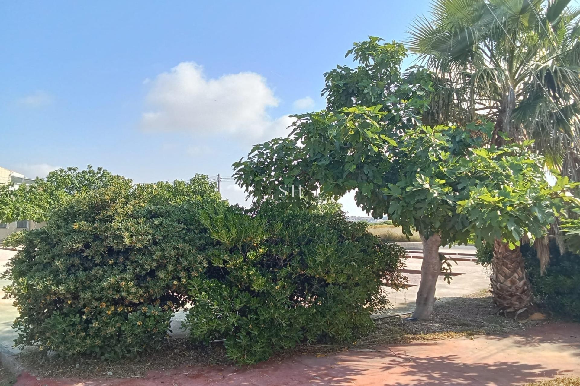 Odsprzedaż - Bungalow - Torrevieja - Torretas