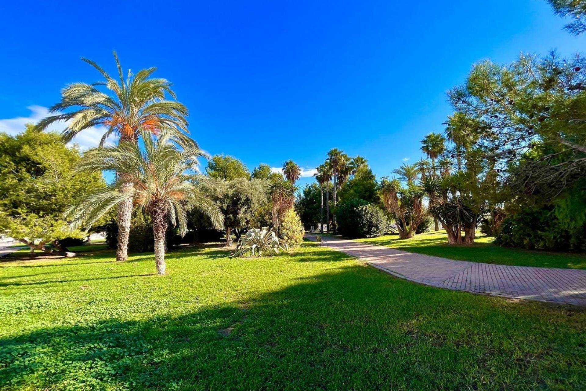 Odsprzedaż - Dom - Torrevieja - Calas Blanca