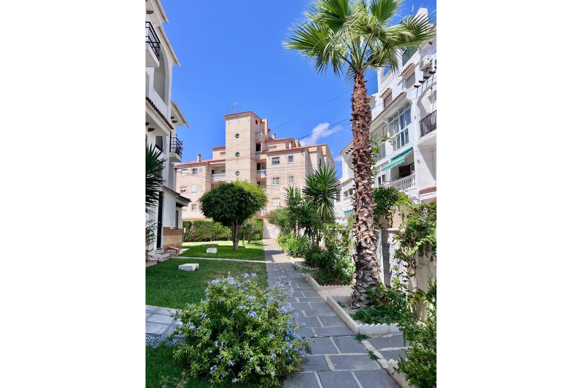 Odsprzedaż - Dom - Torrevieja - Calas Blanca