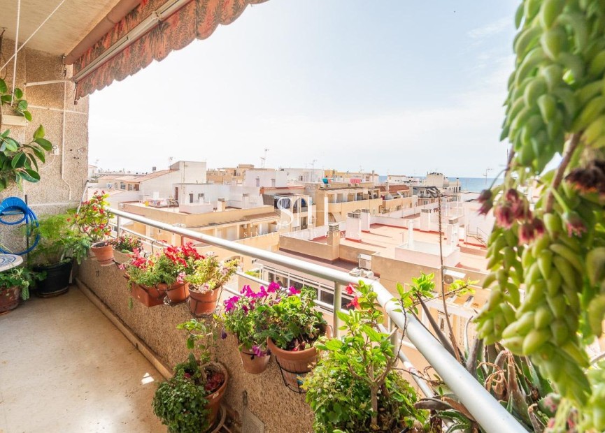 Odsprzedaż - Mieszkanie w bloku - Torrevieja - Centro