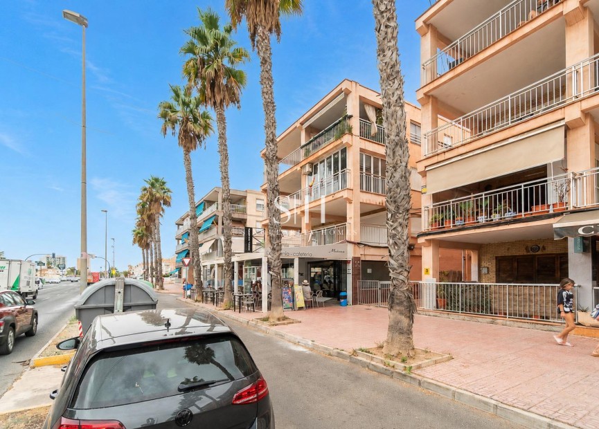 Odsprzedaż - Mieszkanie w bloku - Torrevieja - Playa de los Naufragos
