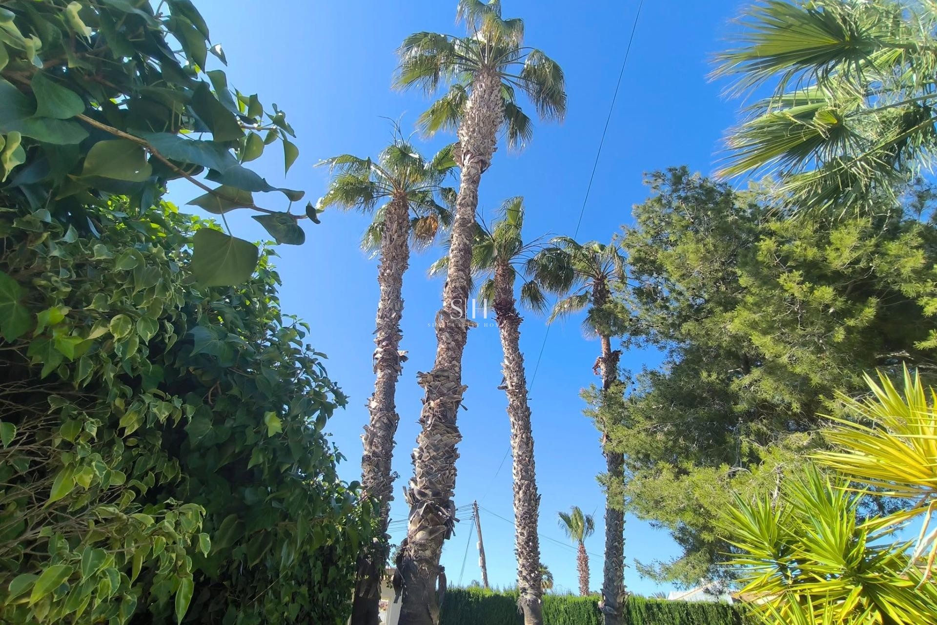 Odsprzedaż - Villa - Torrevieja - La siesta