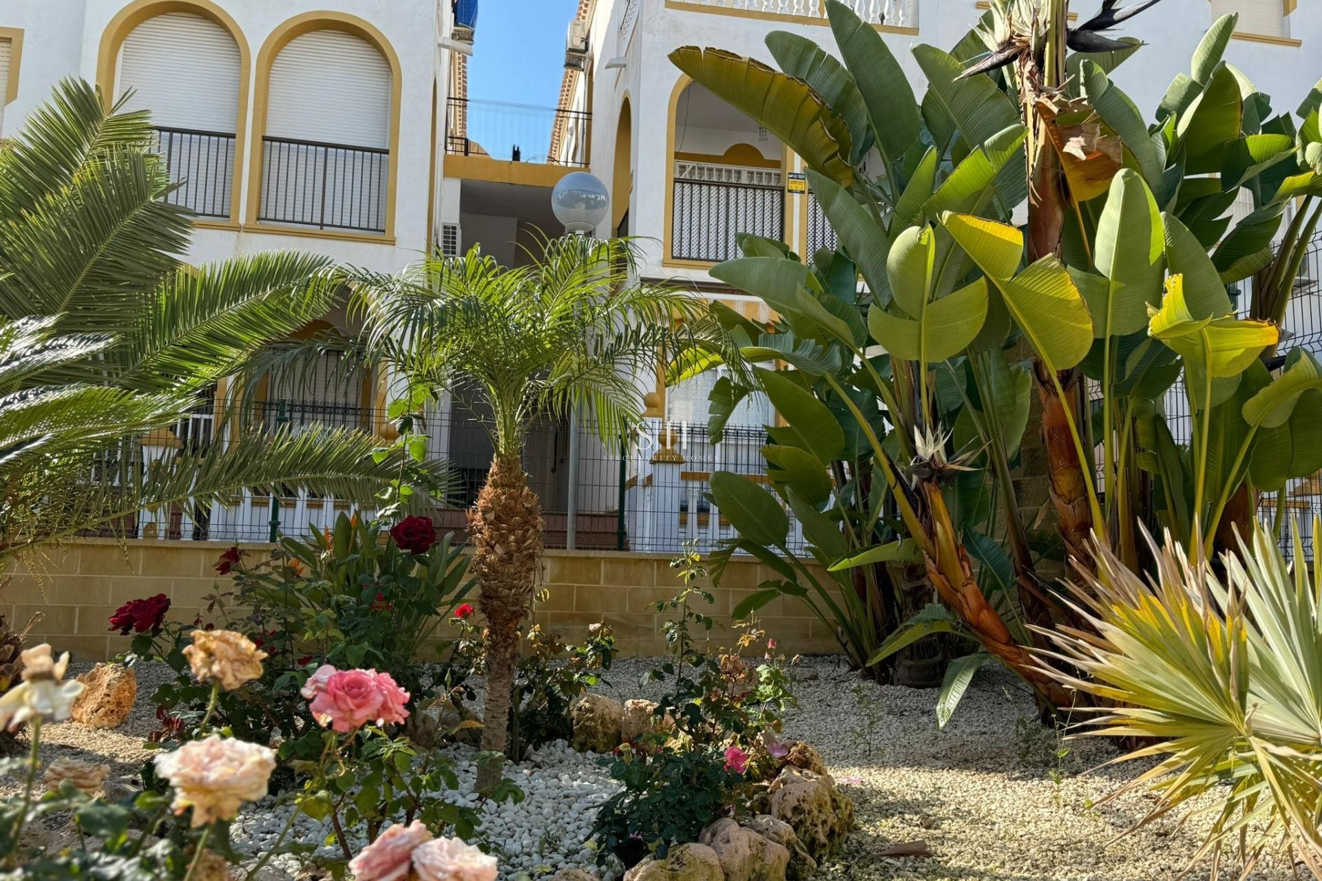 Перепродажа - Бунгало - Torrevieja - Cañada Del Molino