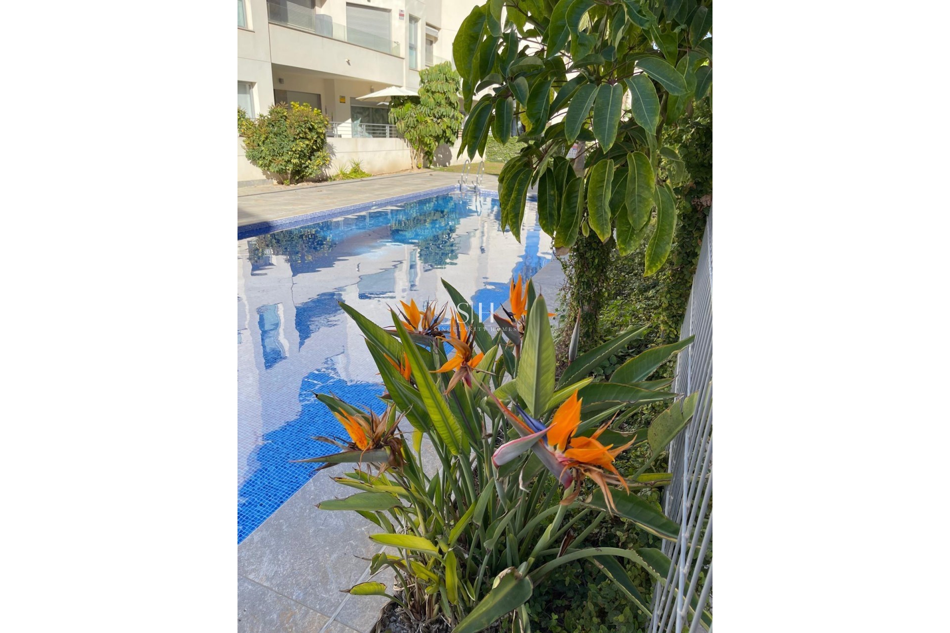 Перепродажа - Бунгало - Torrevieja - Costa Blanca