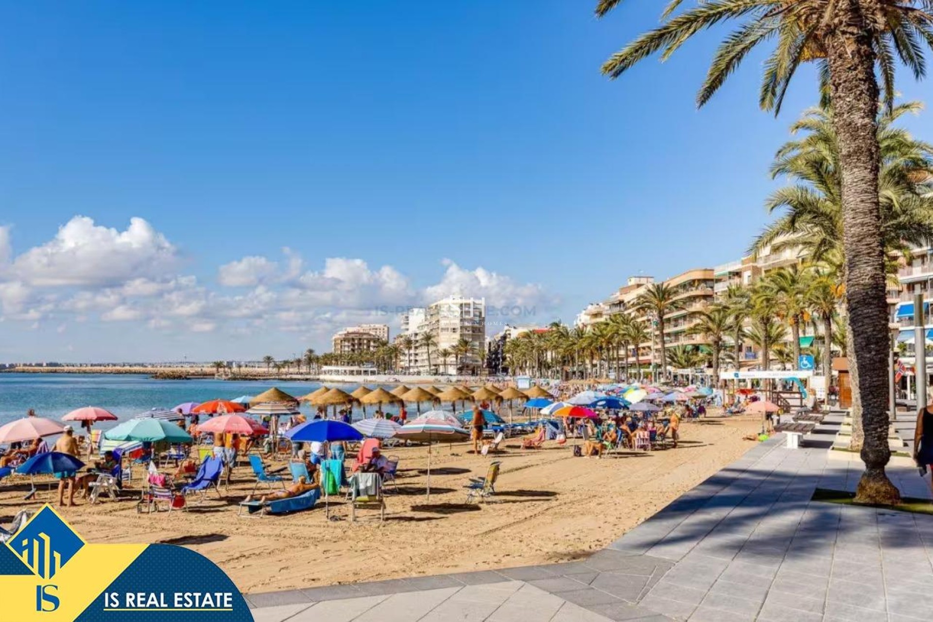 Перепродажа - Квартира / квартира - Torrevieja - Playa de los locos