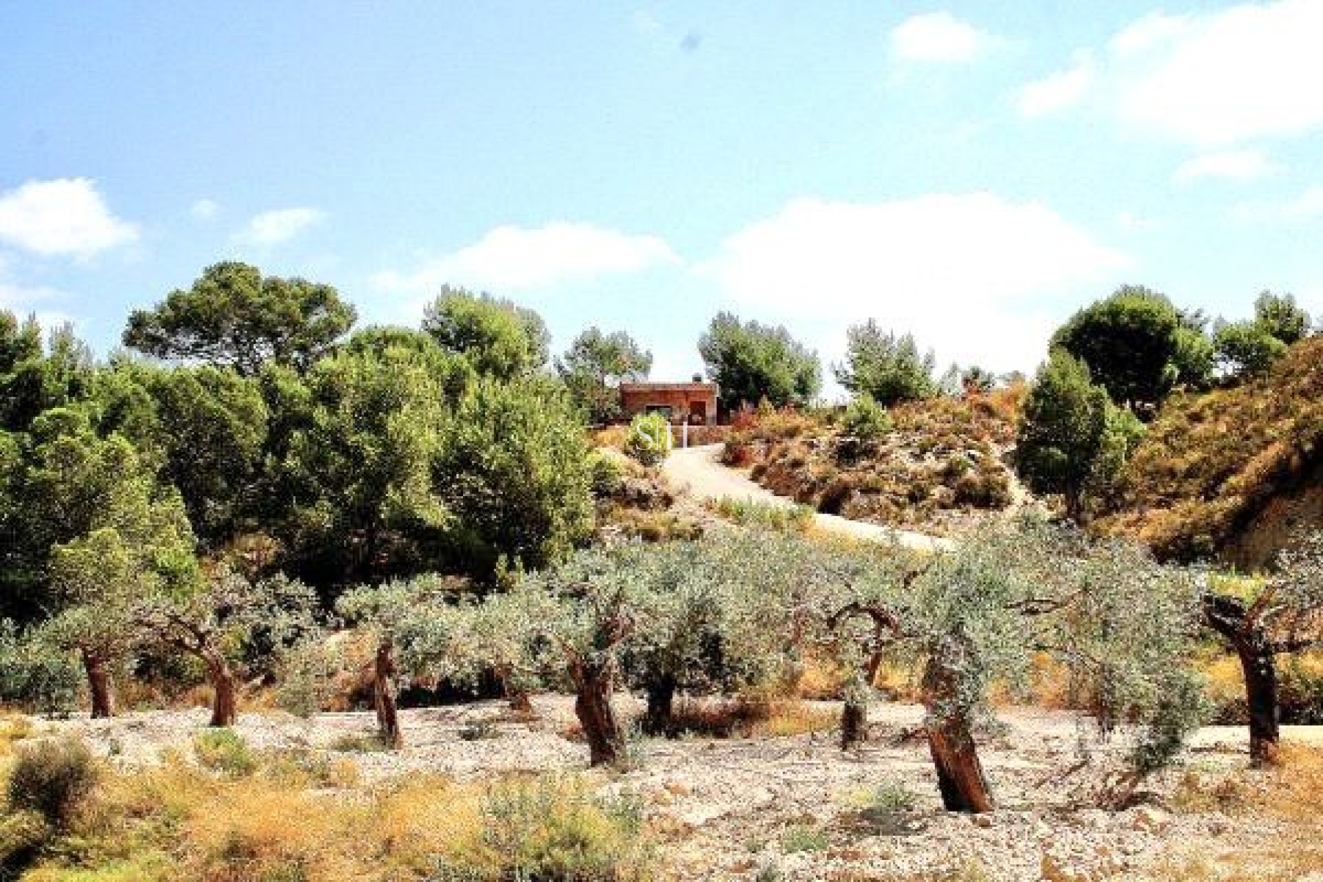Перепродажа - Villa - Murcia - Cañadas de San Pedro