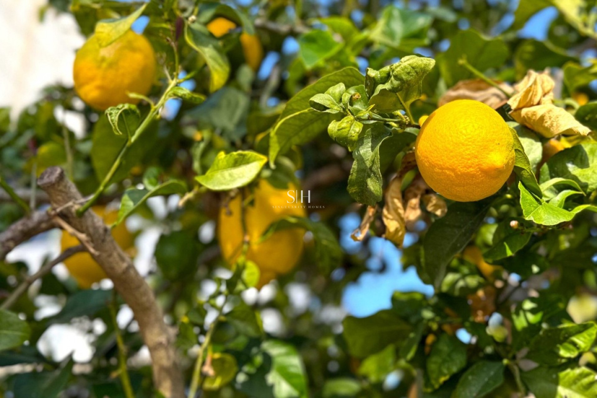 Перепродажа - Villa - Orihuela Costa - Costa Blanca