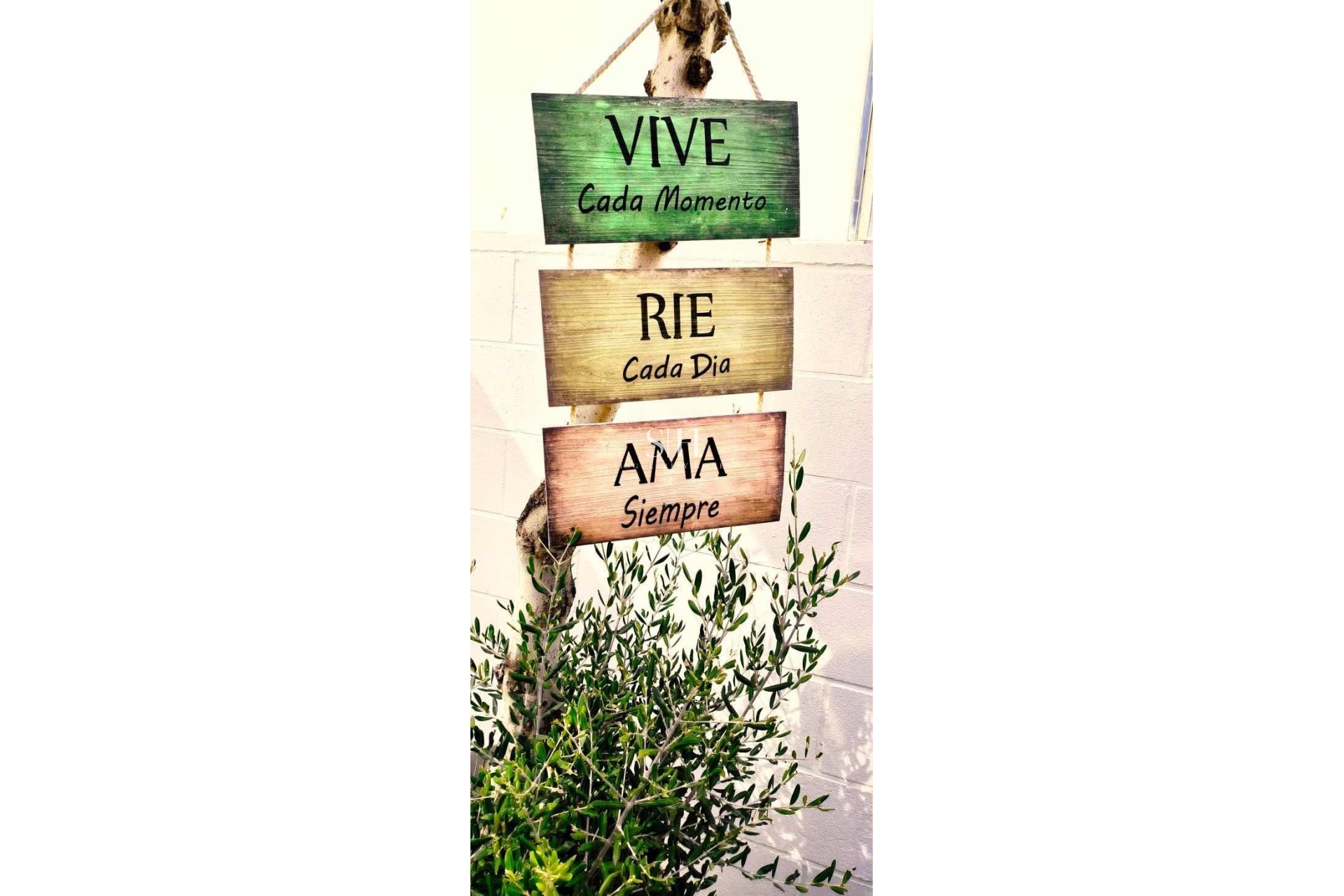 Перепродажа - Villa - Orihuela Costa - PAU 26