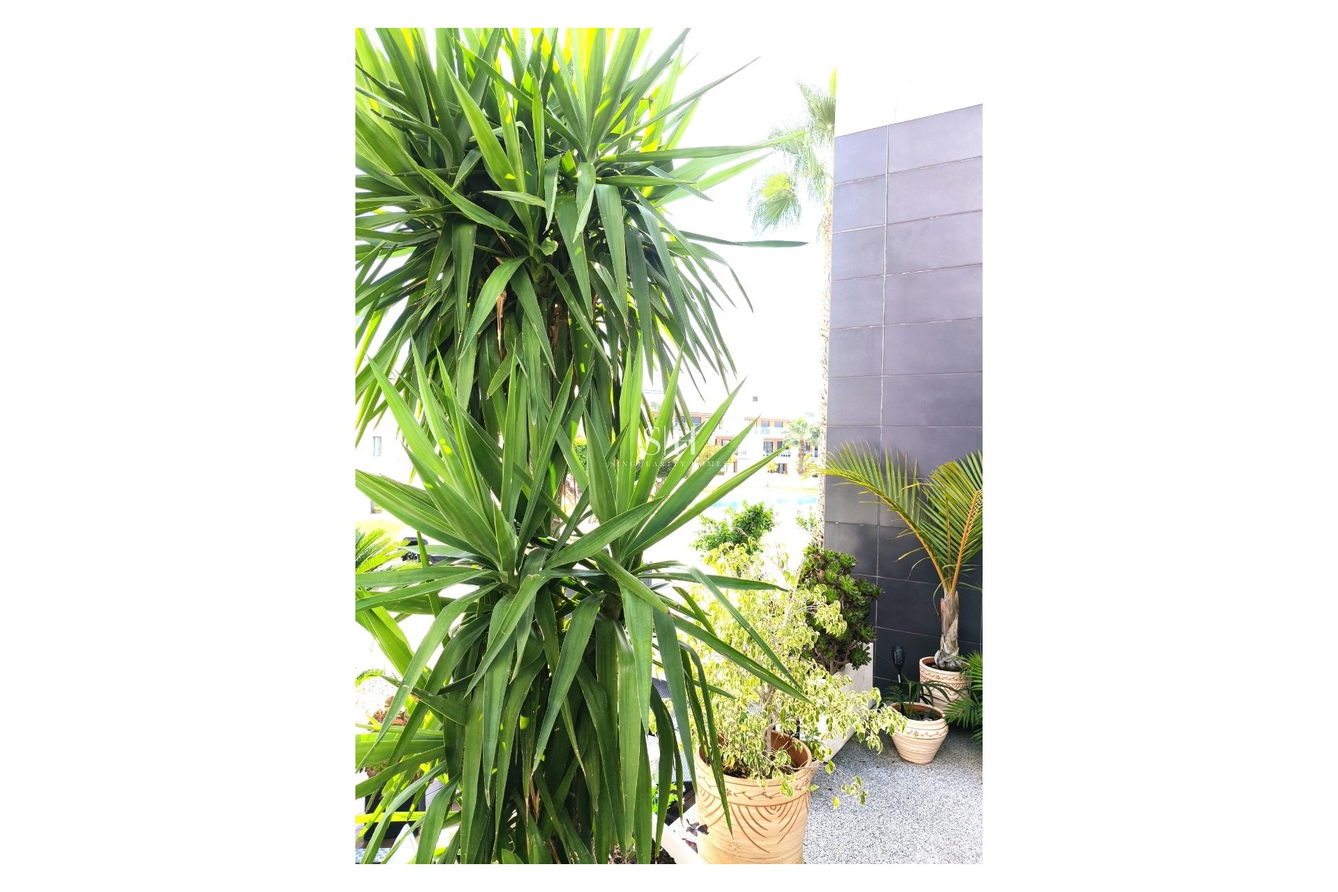 Перепродажа - Villa - Orihuela Costa - Villamartin