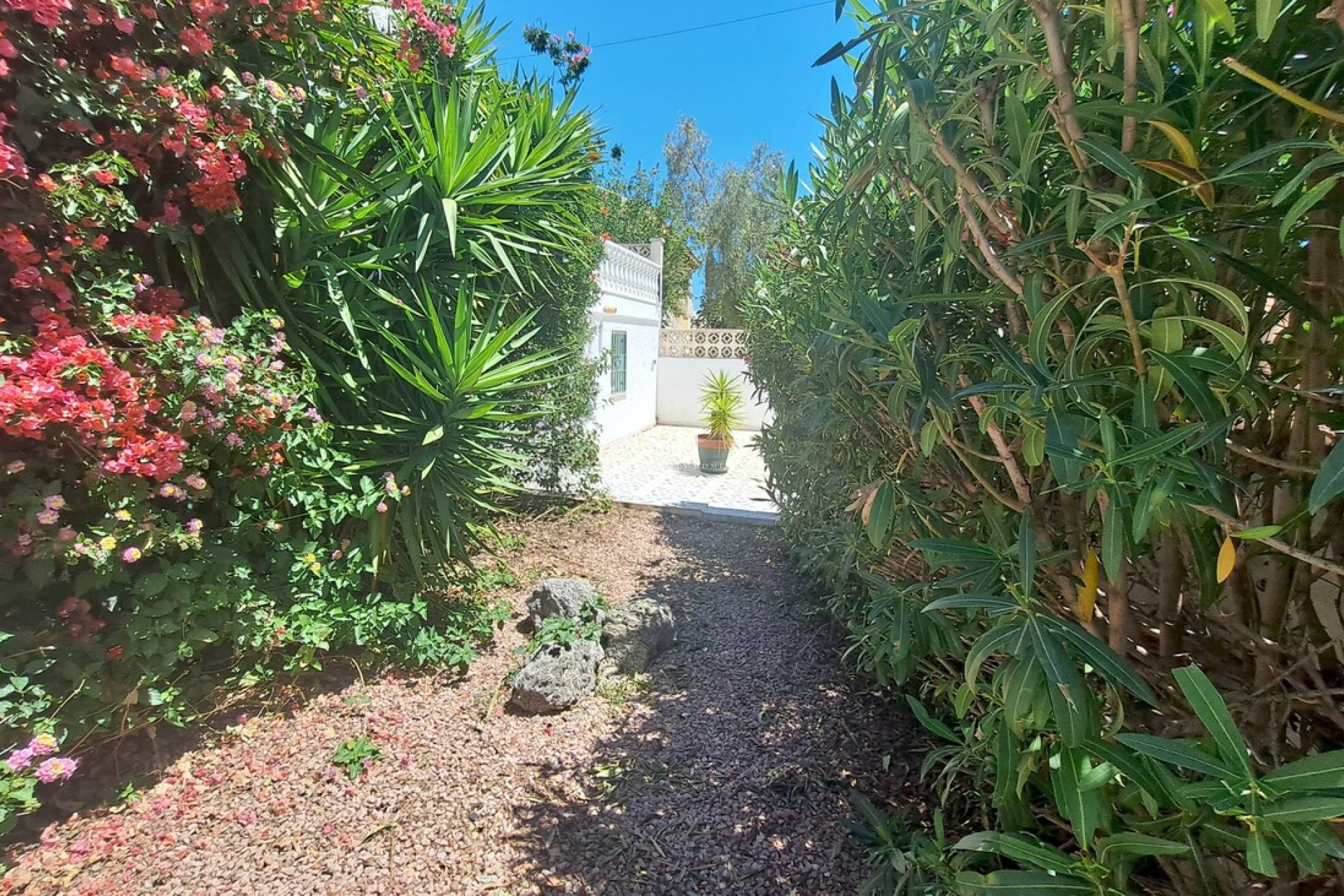 Перепродажа - Villa - San Miguel de Salinas - Inland