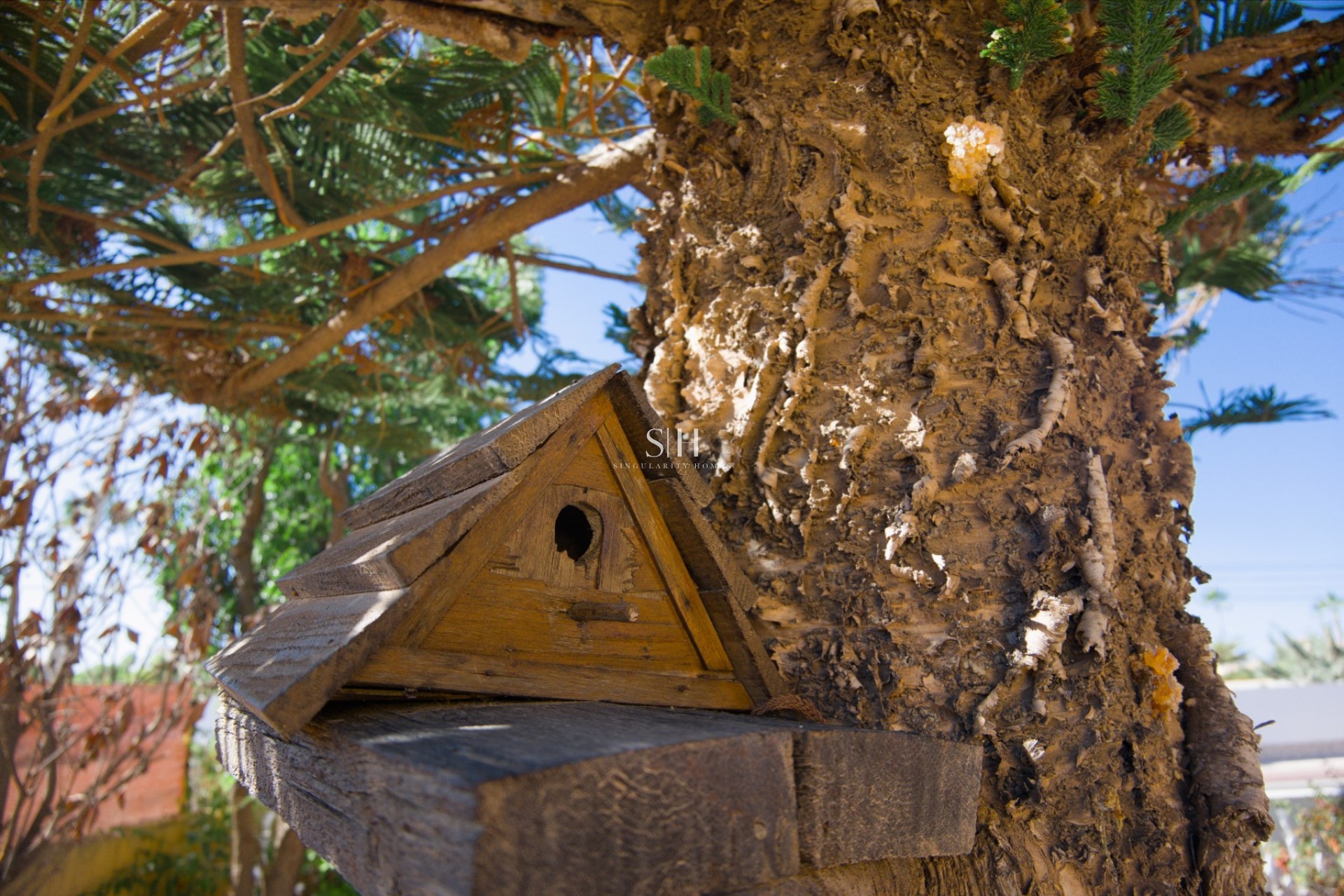 Перепродажа - Villa - Torrevieja - Costa Blanca