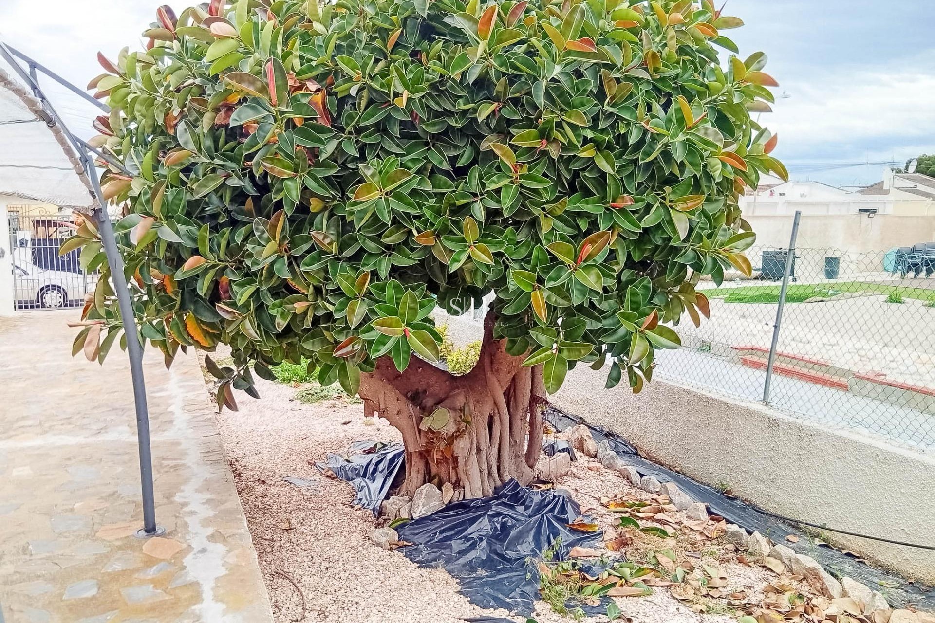 Перепродажа - Villa - Torrevieja - La siesta