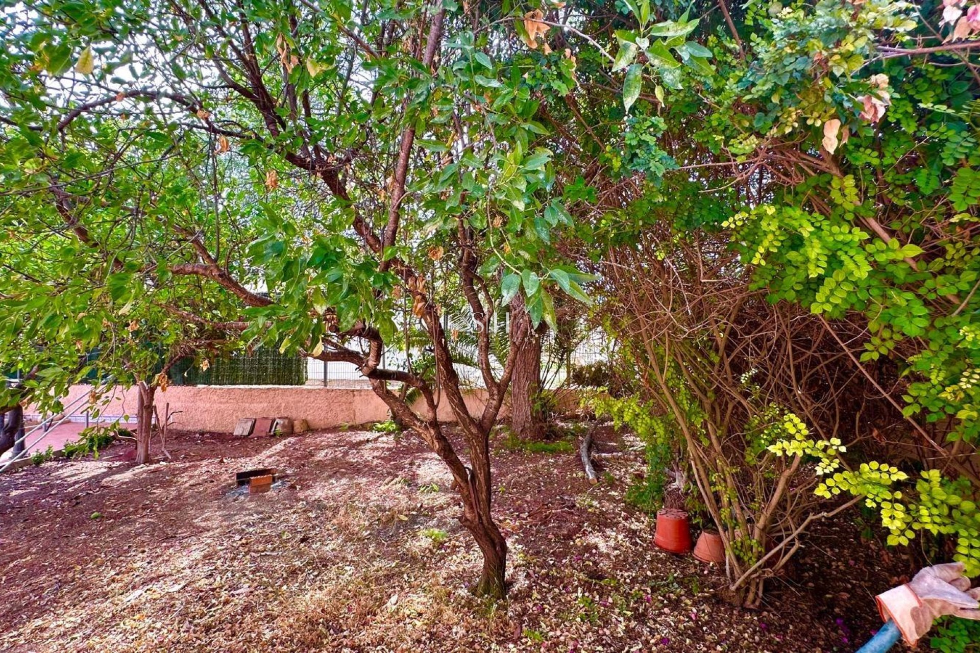 Перепродажа - Villa - Torrevieja - Los Balcones - Los Altos del Edén