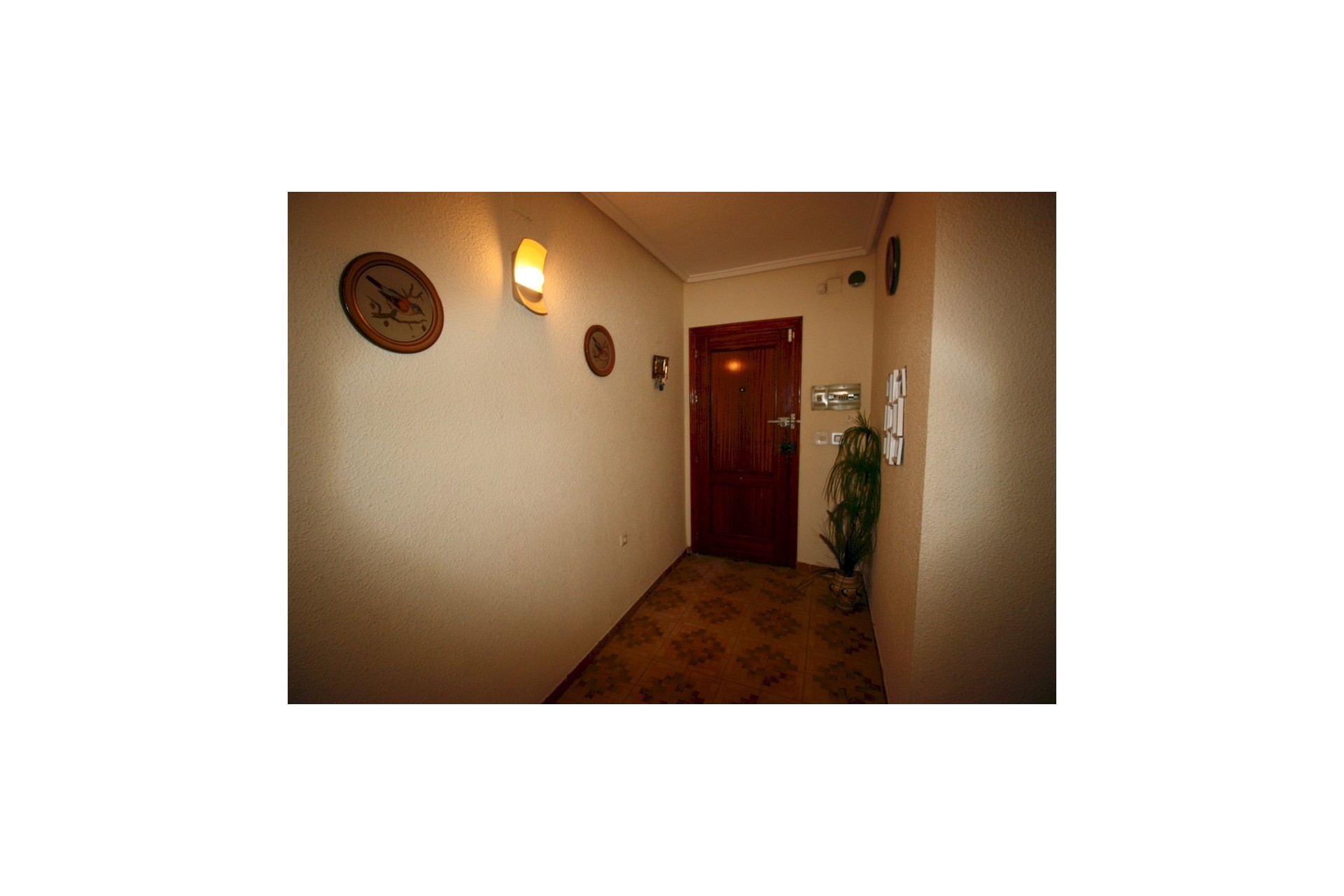 Resale - Apartment / flat - Guardamar del Segura - Costa Blanca