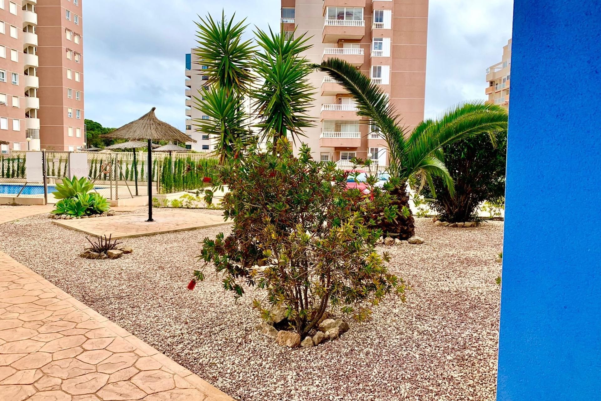 Resale - Apartment / flat - Guardamar del Segura - Puerto