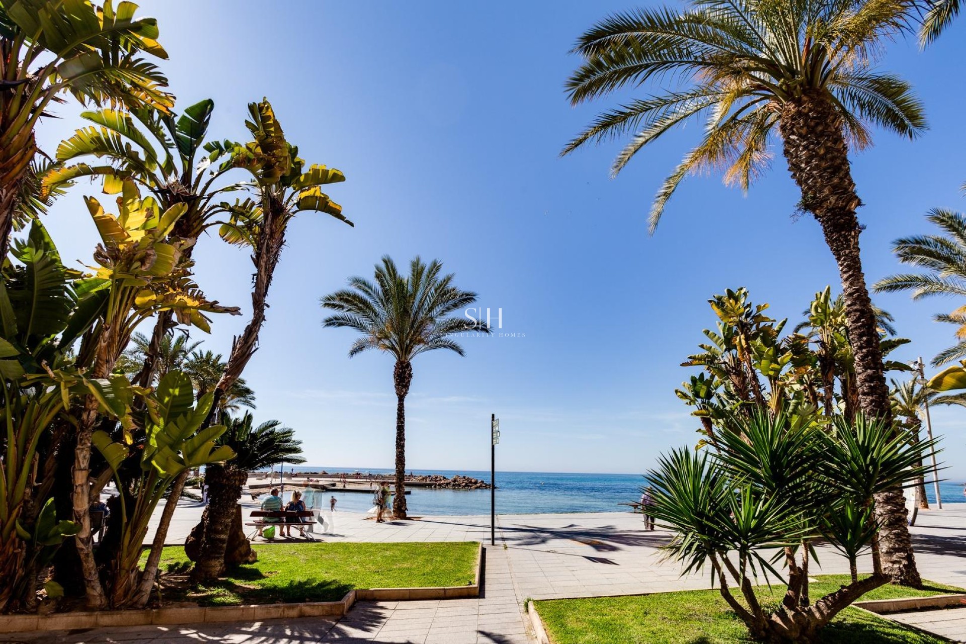 Resale - Apartment / flat - Torrevieja - Paseo Maritimo