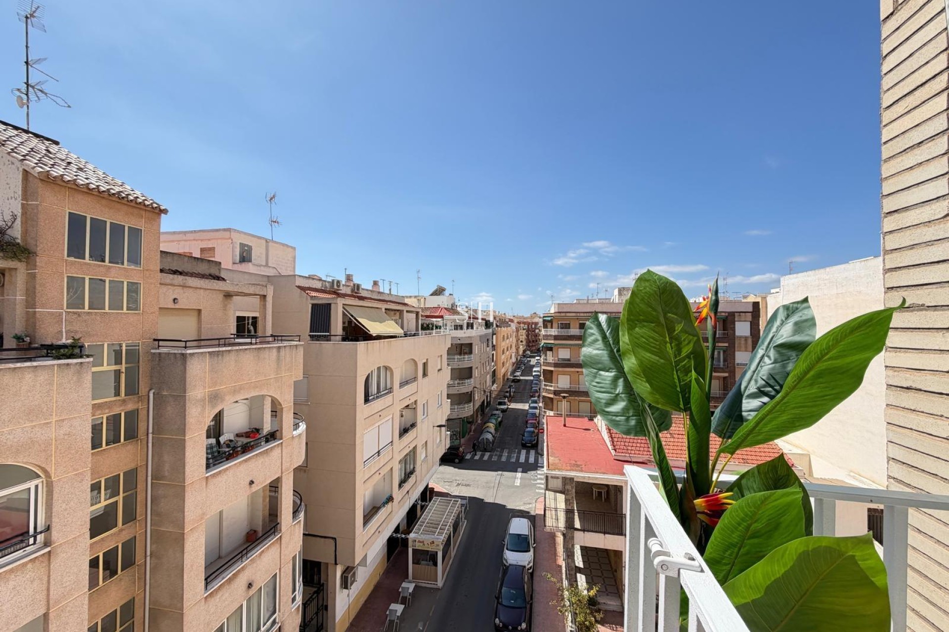 Resale - Apartment / flat - Torrevieja - Playa del Cura