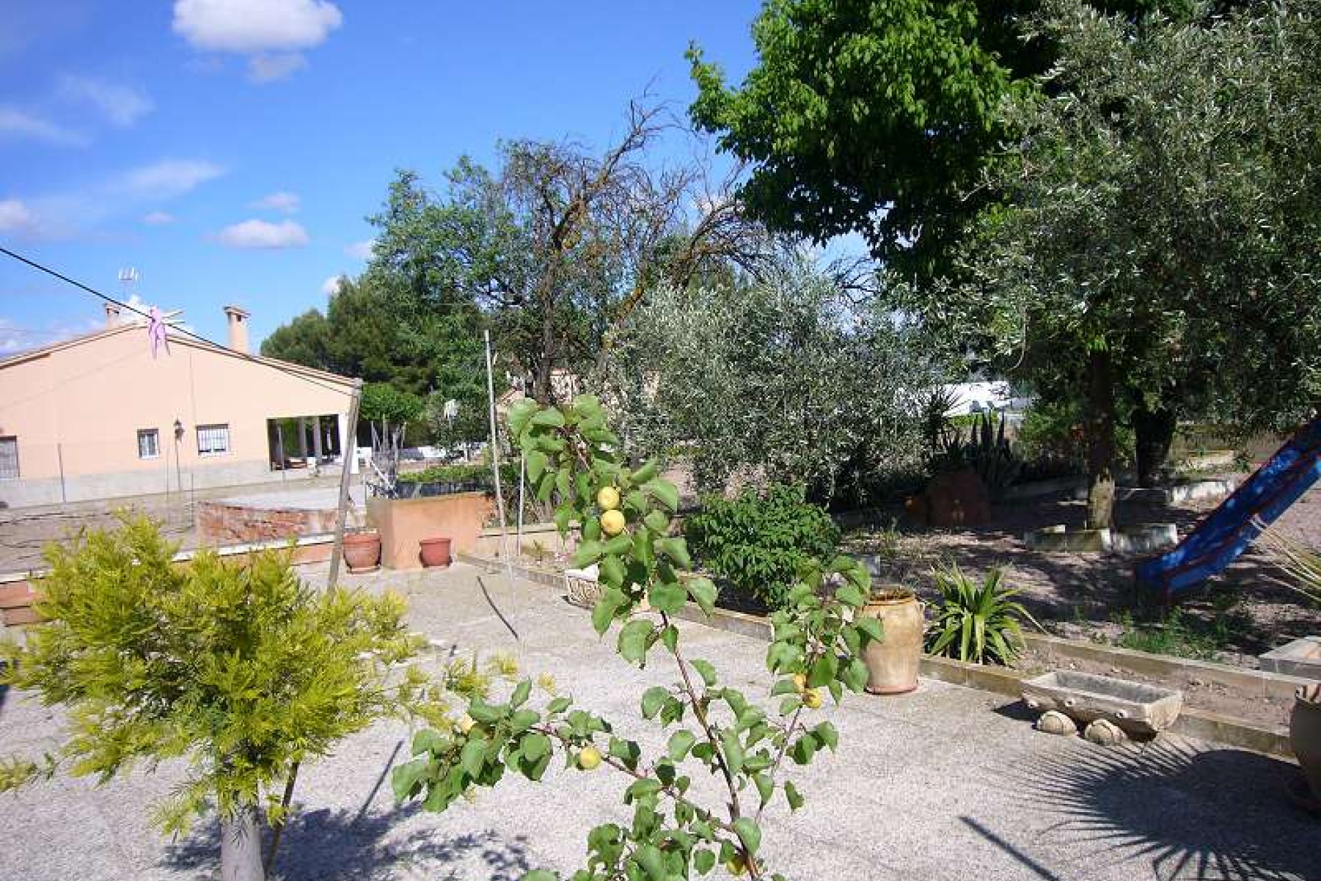 Resale - Country House - Salinas - Inland