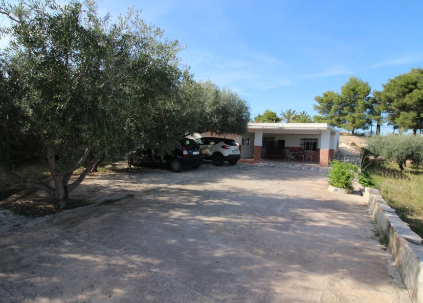 Resale - Finca - Crevillent - P.catxapets