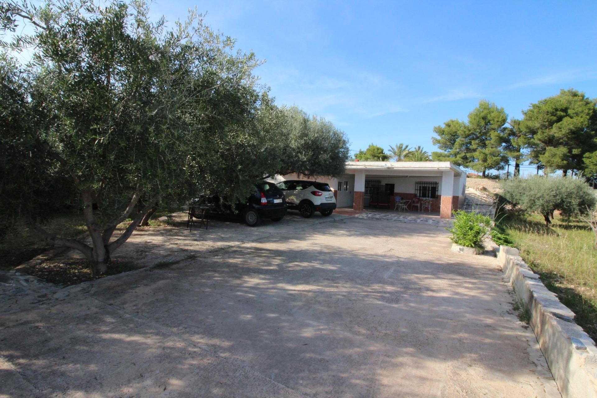 Resale - Finca - Crevillent - P.catxapets