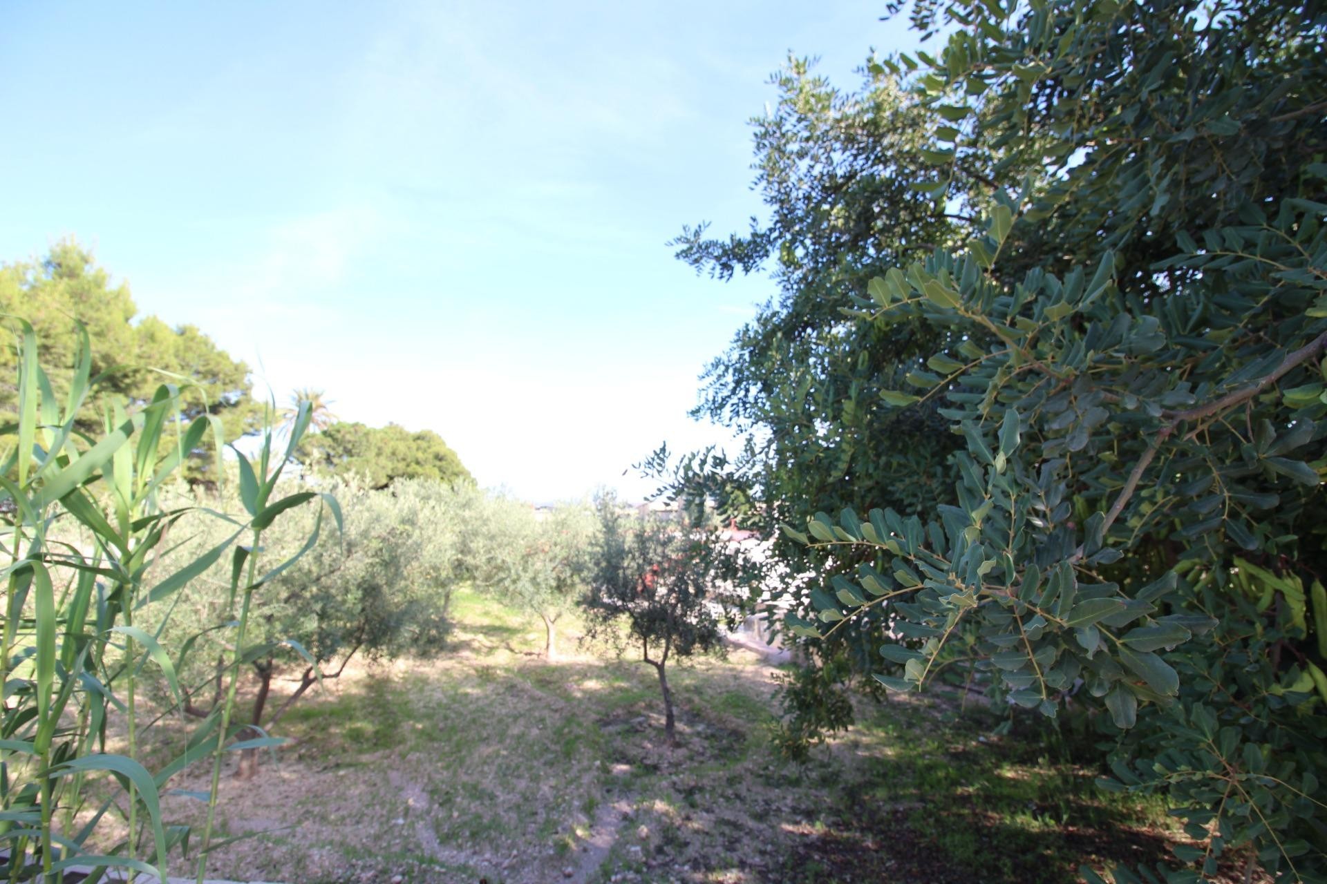 Resale - Finca - Crevillent - P.catxapets