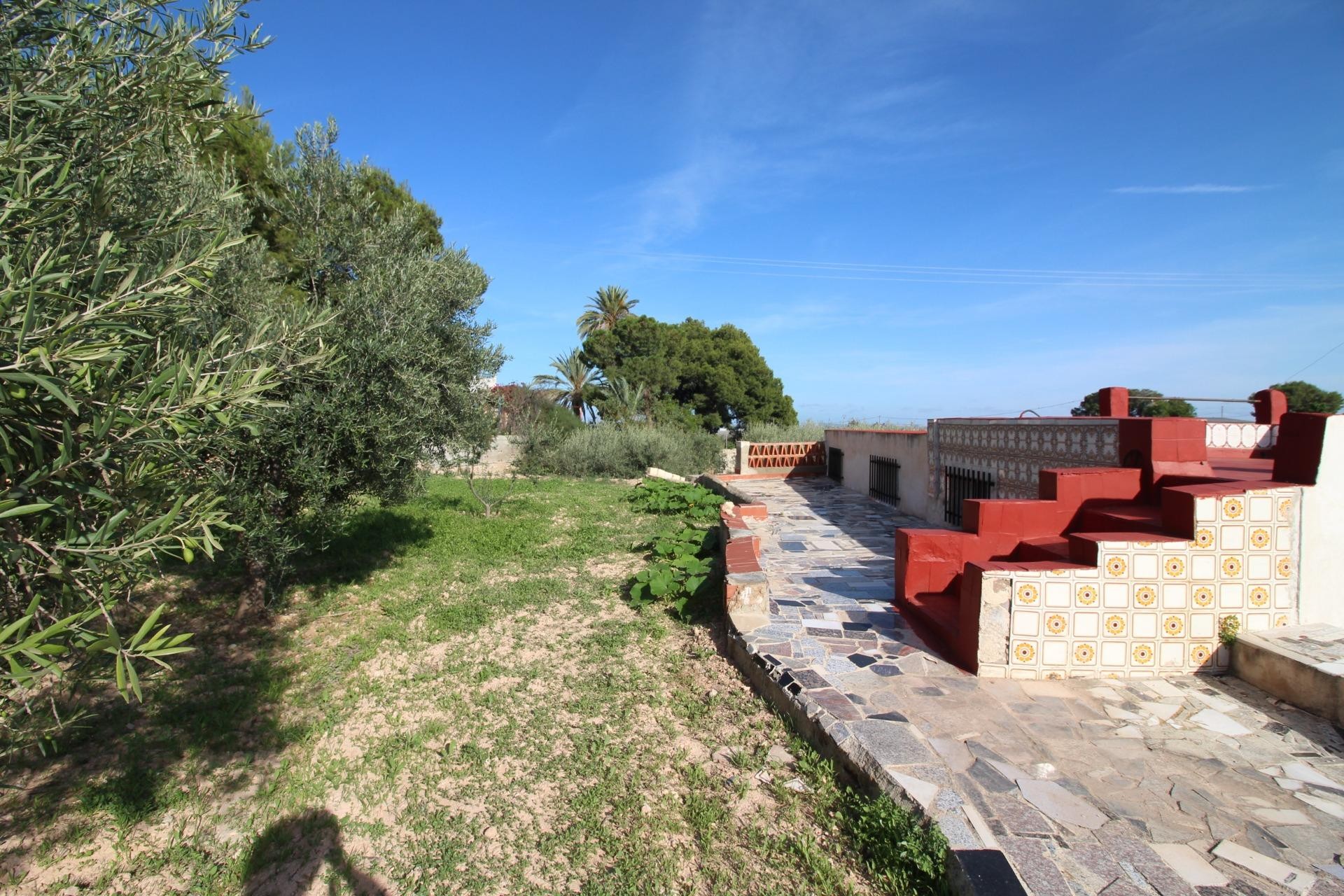 Resale - Finca - Crevillent - P.catxapets