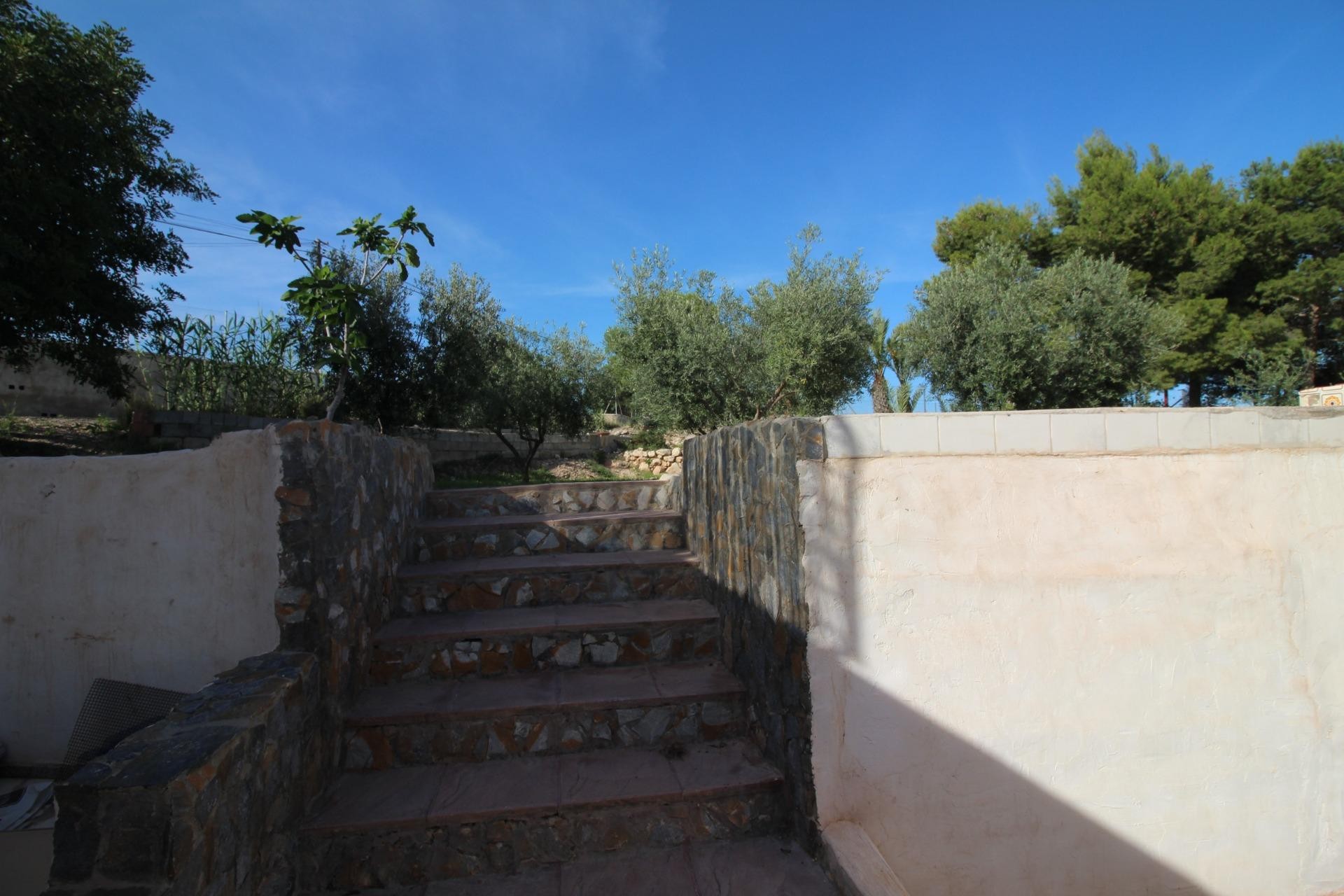 Resale - Finca - Crevillent - P.catxapets