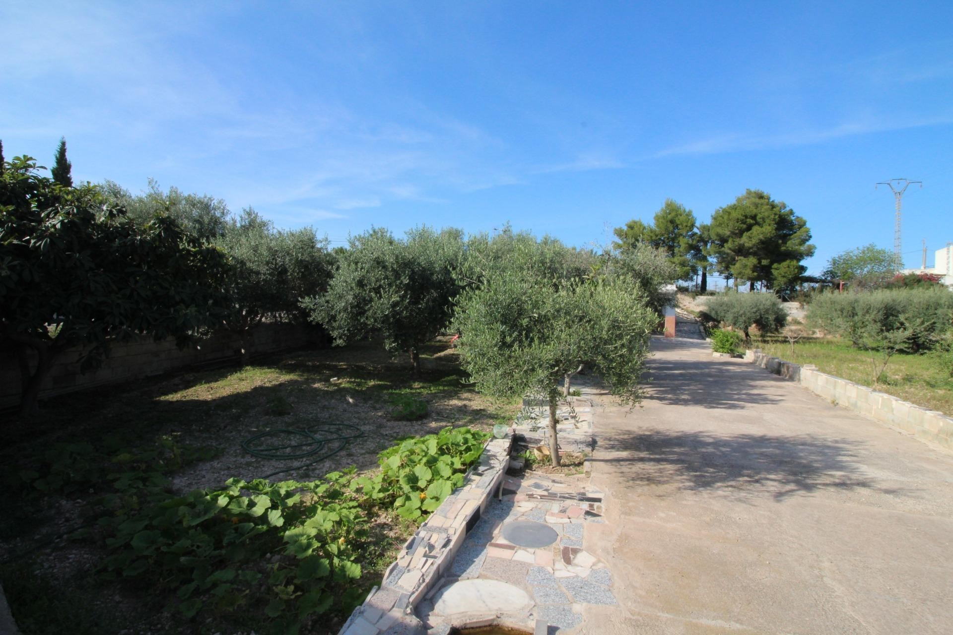 Resale - Finca - Crevillent - P.catxapets