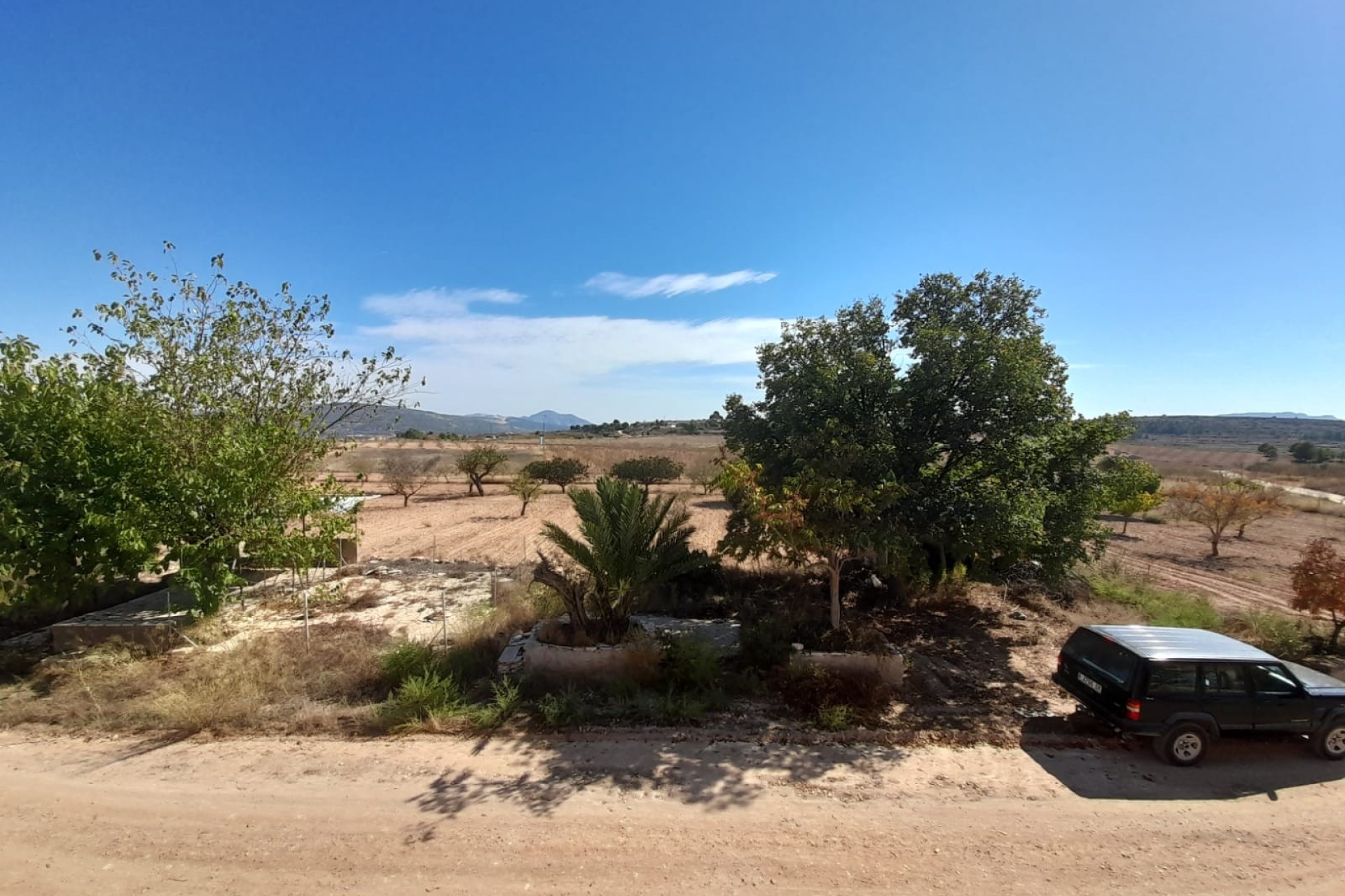 Resale - Finca - Pinoso - Inland