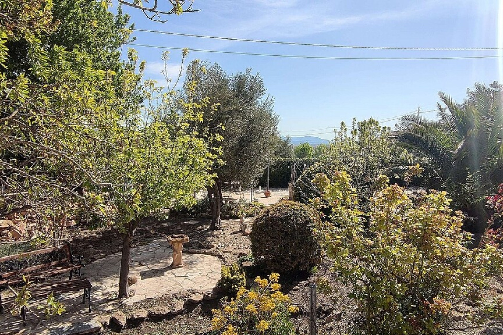 Resale - Finca - Pinoso - Inland