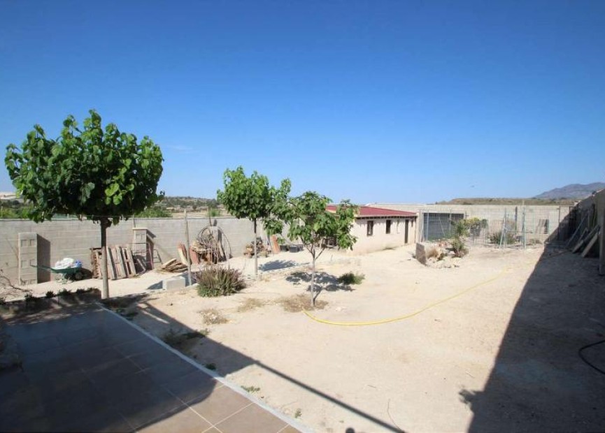 Resale - Finca - Pinoso - Inland