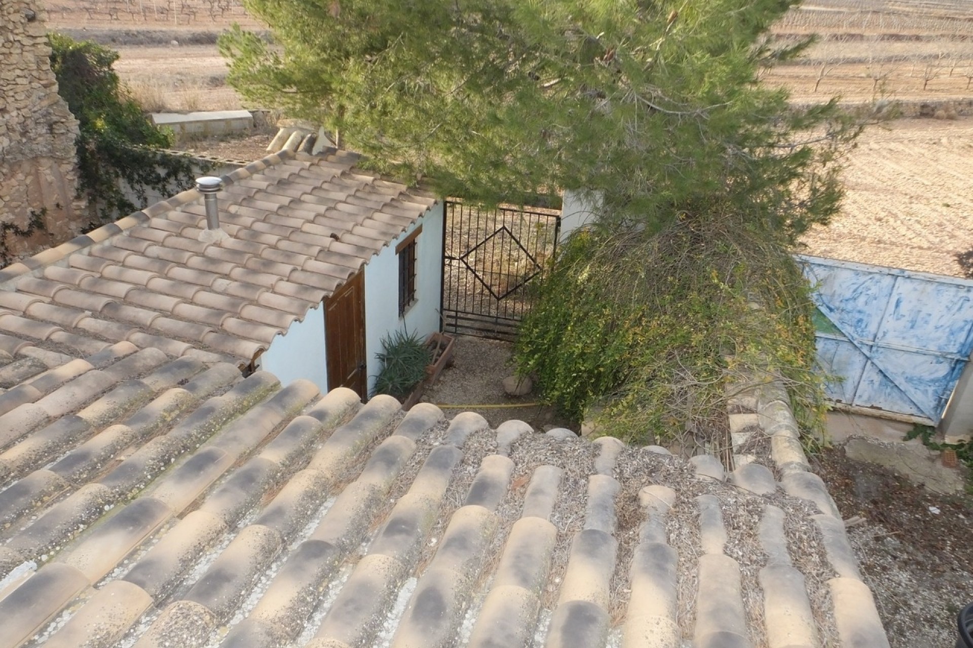 Resale - Finca - Pinoso - Inland