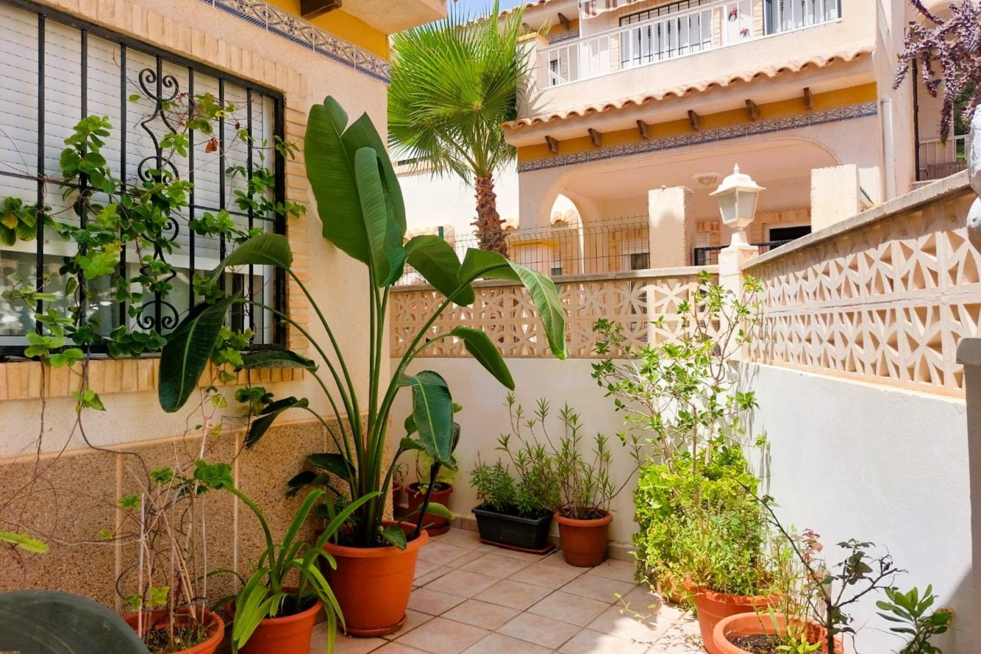 Resale - Town House - Torrevieja - Costa Blanca