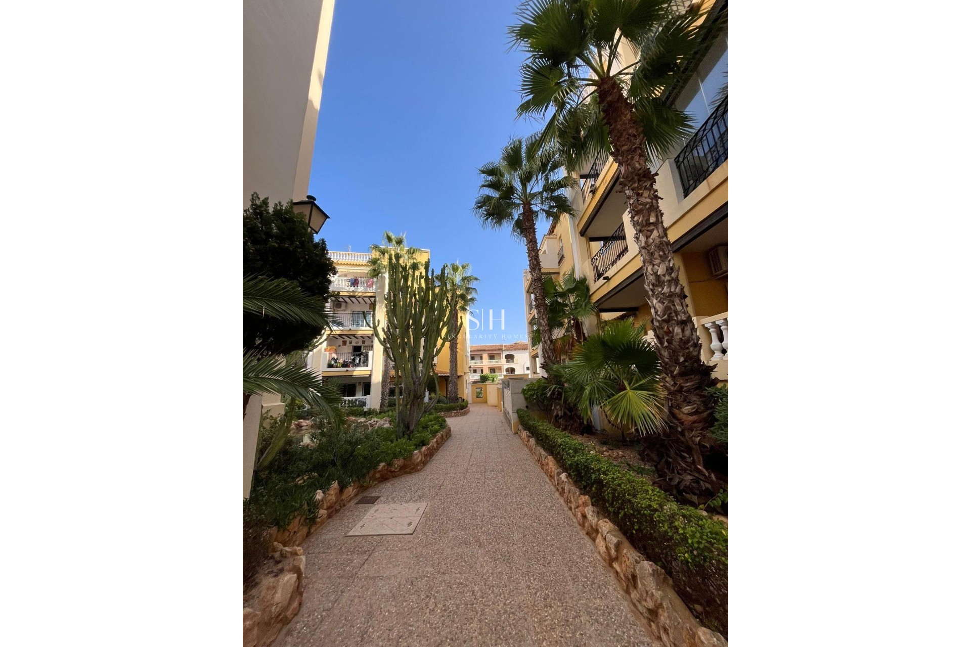 Reventa - Apartamento / piso - Torrevieja - Los Frutales