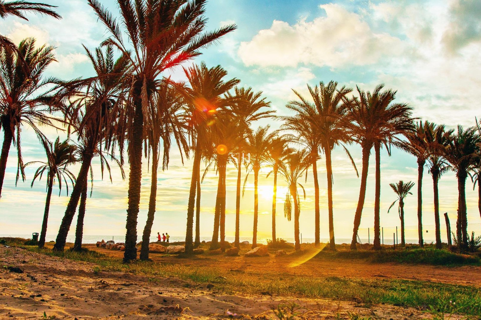 Reventa - Bungalow - Torrevieja - Los balcones