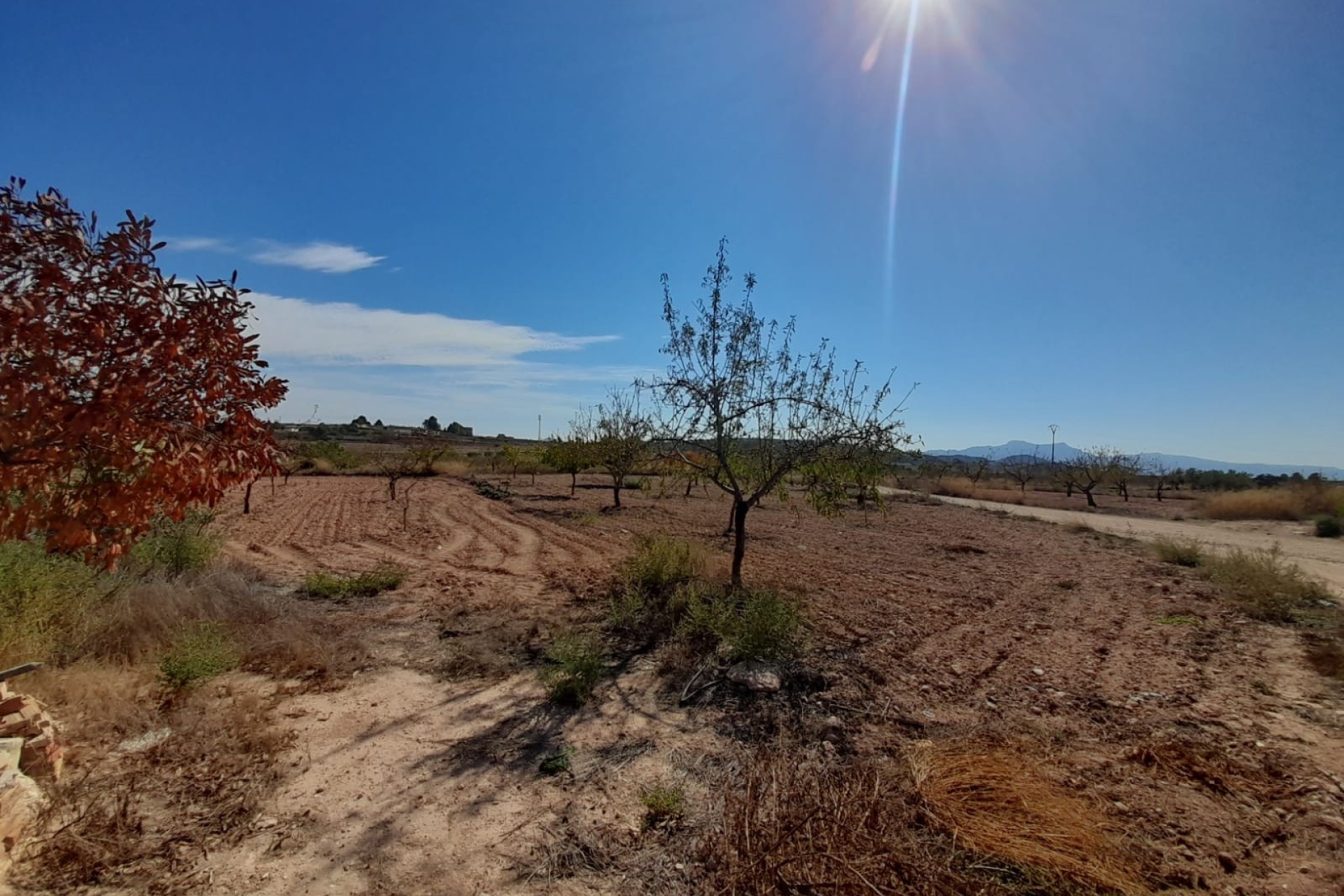 Reventa - Casa de pueblo - Pinoso - Inland