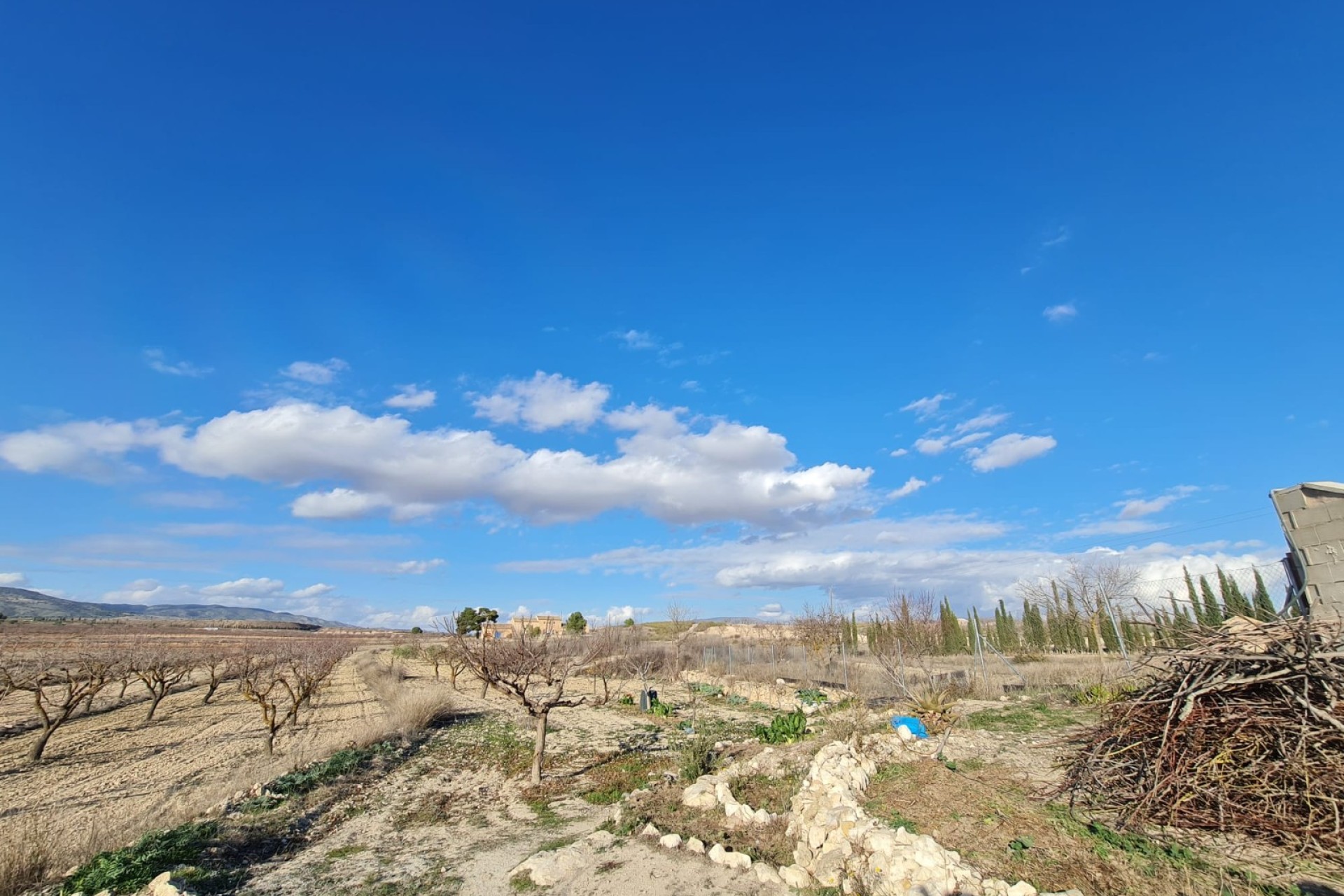 Reventa - Casa de pueblo - Pinoso - Inland