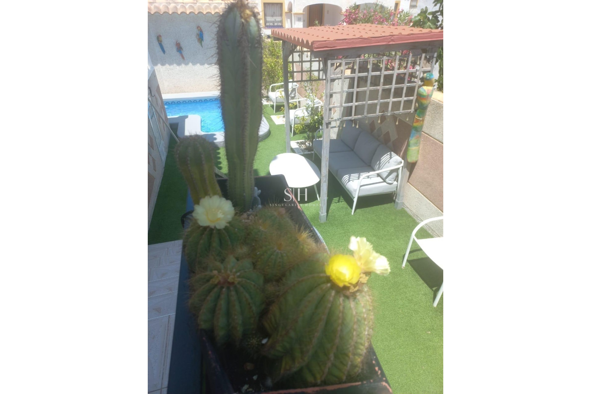 Reventa - Casa - Orihuela Costa - Los Almendros-la Florida