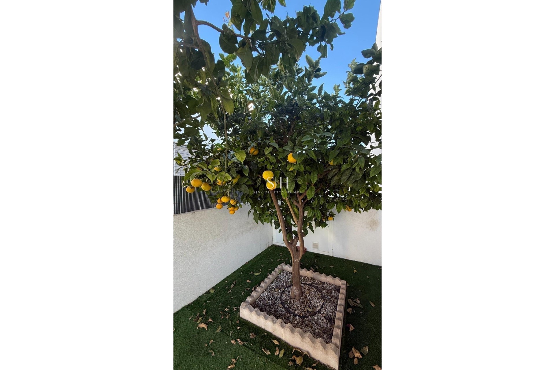 Reventa - Casa - Torrevieja - aguas nuevas