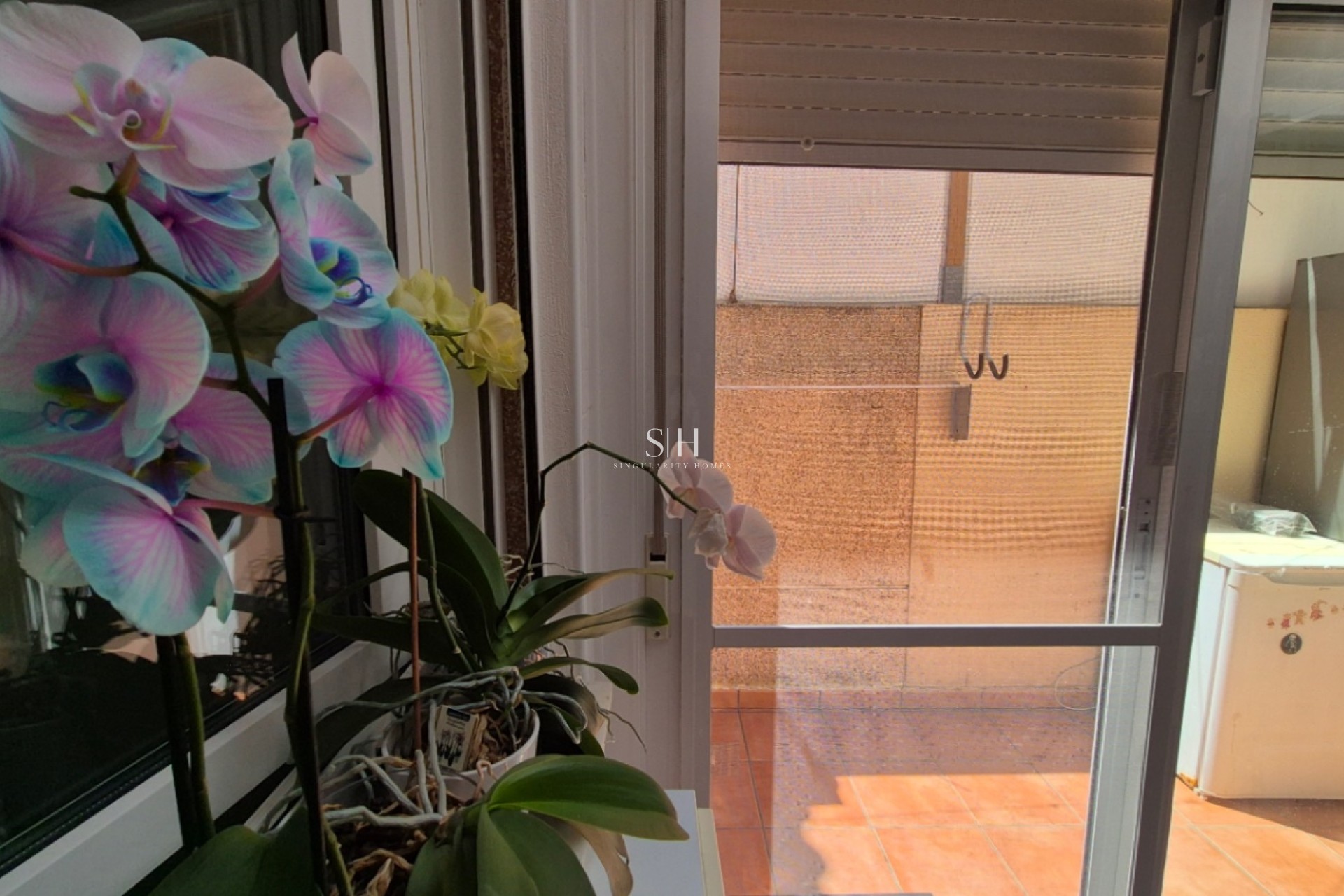 Reventa - Casa - Torrevieja - Costa Blanca