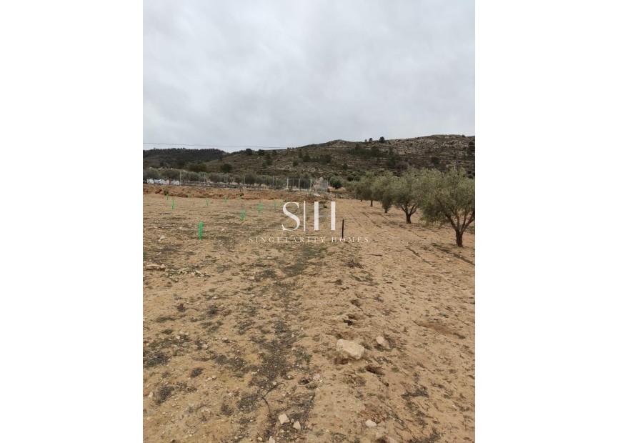 Reventa - Country land - Villena - Cabanes Y Las Fuentes