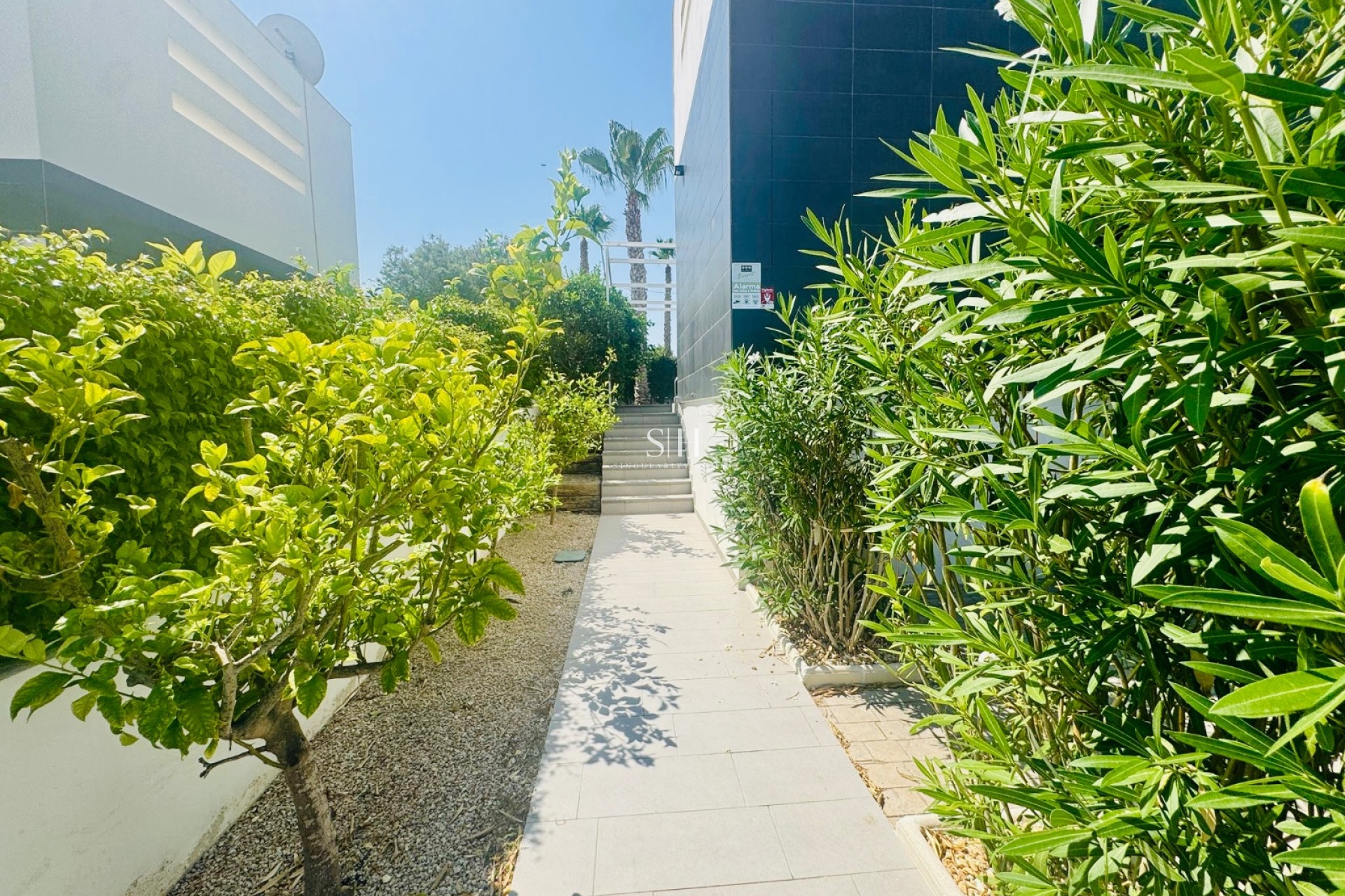 Reventa - Villa - Algorfa - La Finca Golf