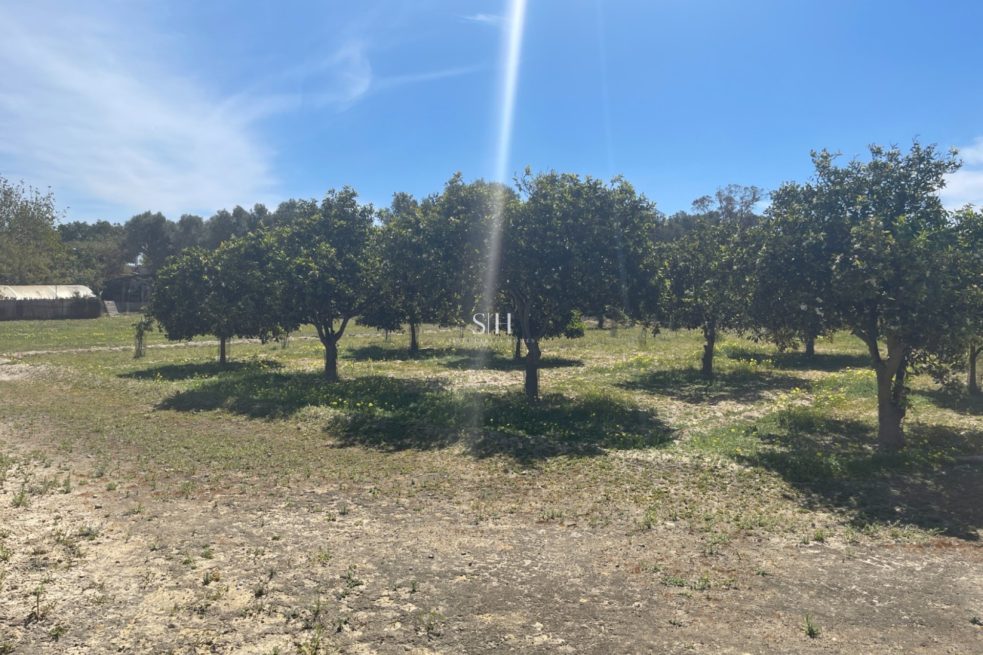 Reventa - Villa - Guardamar del Segura - Costa Blanca