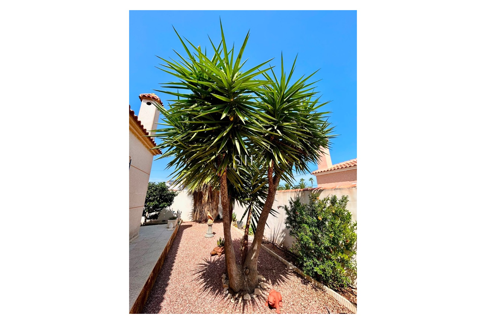 Reventa - Villa - Torrevieja - Costa Blanca