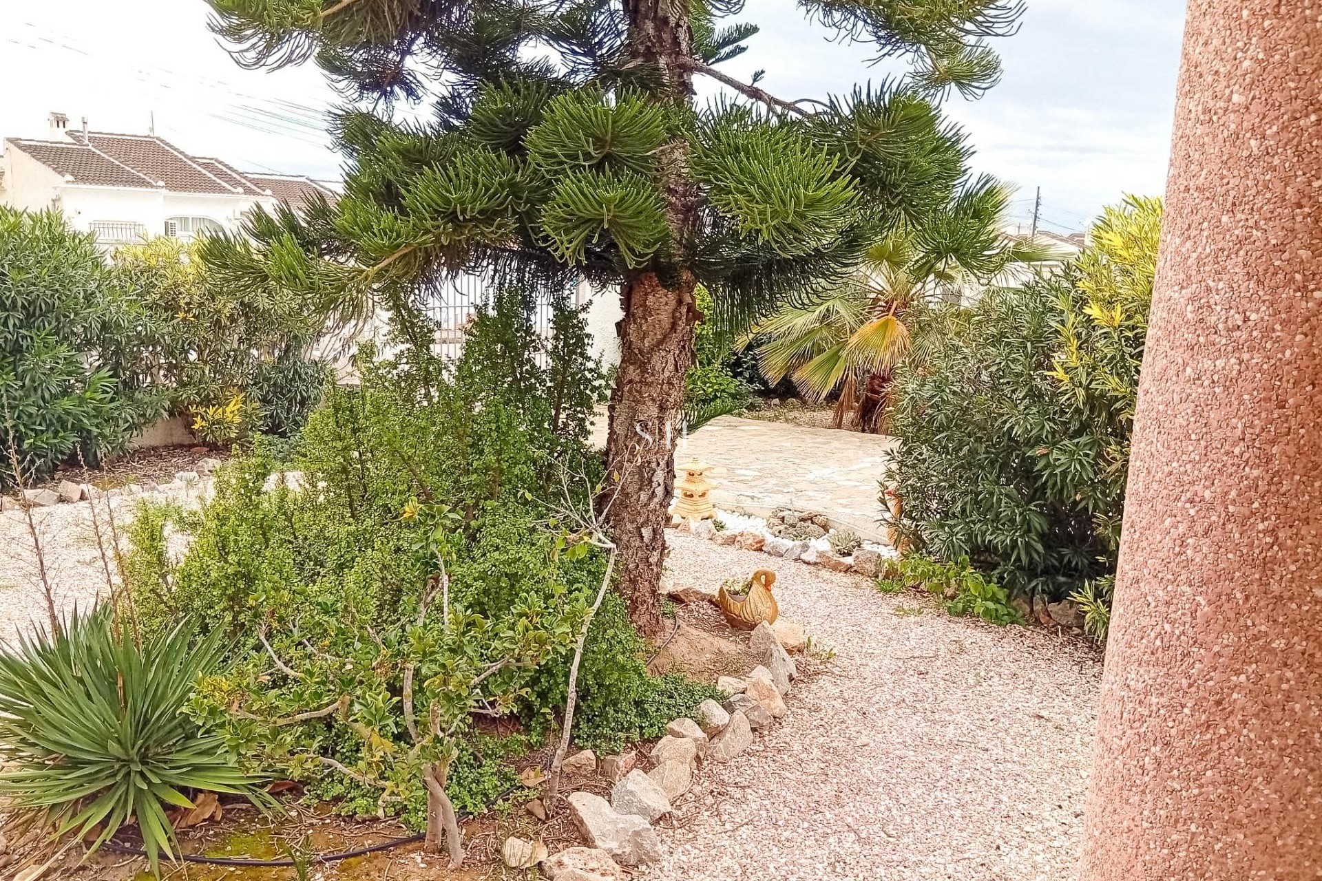 Reventa - Villa - Torrevieja - La siesta