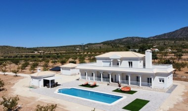 Villa - New Build - Pinoso - 87967