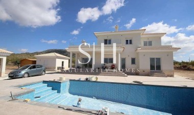 Villa - New Build - Pinoso - Camino Del Prado