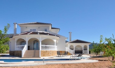 Villa - New Build - Pinoso - Lel