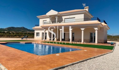 Villa - Nieuwbouw Woningen - Pinoso - 64883