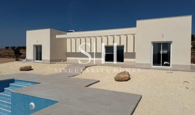 Villa - Новое здание - Pinoso - Camino Del Prado
